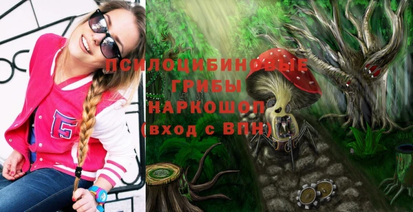 a pvp Арсеньев