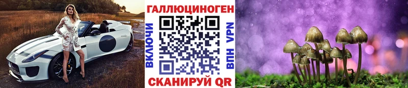 mega tor  Никольское  Галлюциногенные грибы GOLDEN TEACHER  хочу  