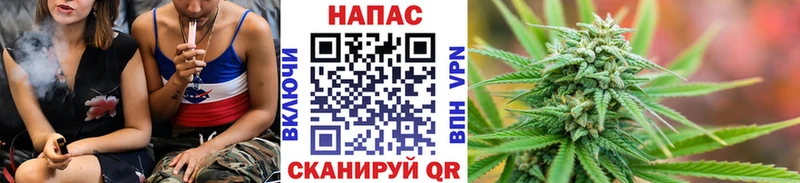 Марихуана Bruce Banner Никольское